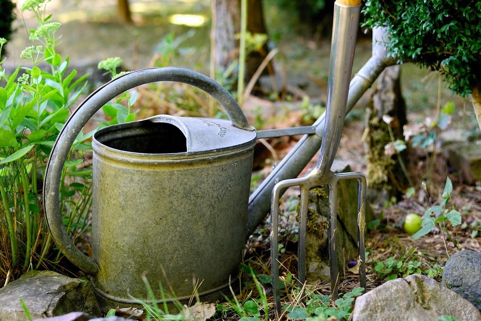 Choisir des fleurs faciles pour un jardin coloré