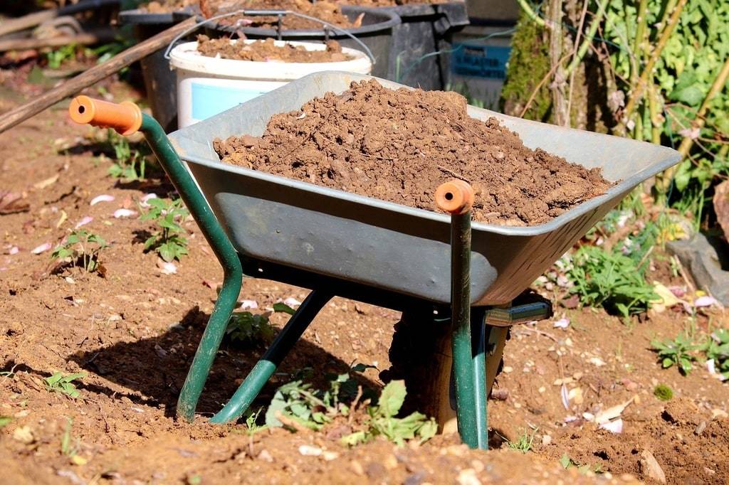 Pourquoi opter pour un service professionnel de terrassement et assainissement ?