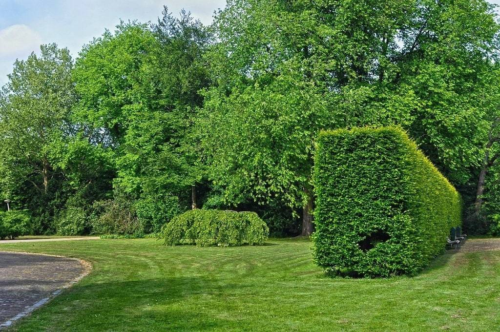 Créer un jardin esthétique grâce à l'expertise d'un paysagiste